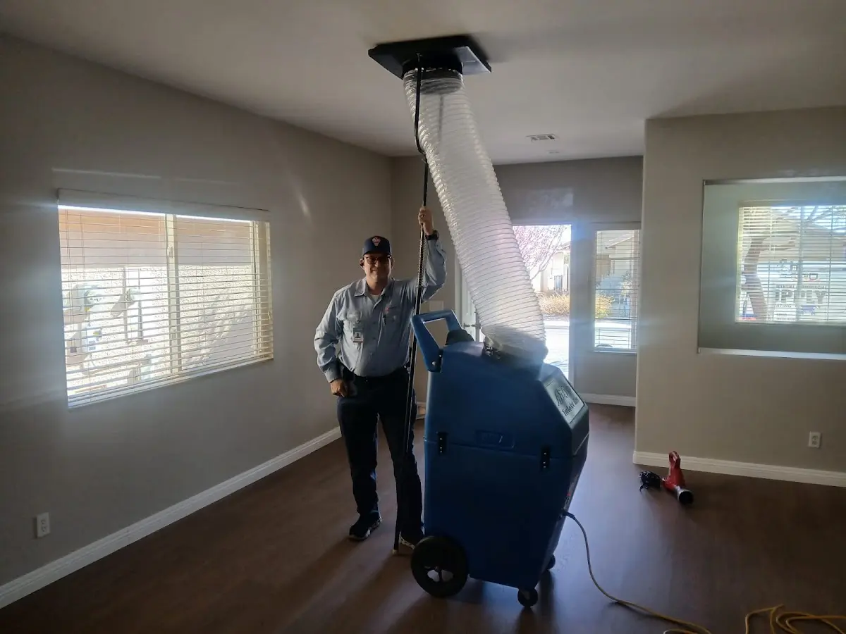 Professional Dryer Vent Cleaning work inside a Crestwood home